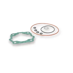 MALOSSI BUSTA GUARN.COMPL. GR.TERM.Ø 50 (O-RING) (DERBI EBE/S 050) Reso Gratuito