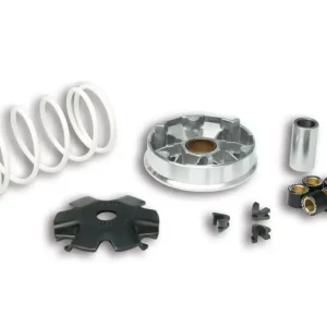 Popolare BAOTIAN ECO BIKE 50 4T (139 QMB) MALOSSI MULTIVAR per SCOOTER