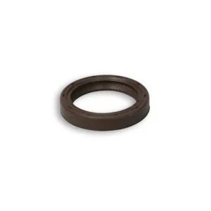 MALOSSI PARAOLIO Ø 30x40x7 mm FKM Affare
