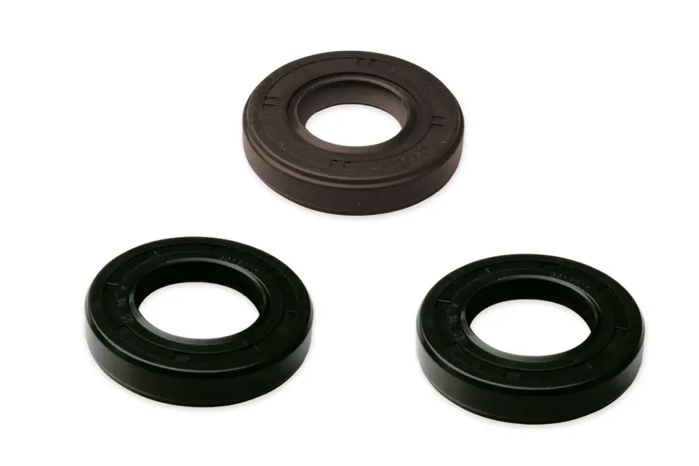 APRILIA RS 50 2T LC euro 2 2006-> (DERBI D50B1) MALOSSI SERIE PARAOLIO FKM/PTFE per REVISIONE DERBI/PIAGGIO moto 50 Vendita Finale