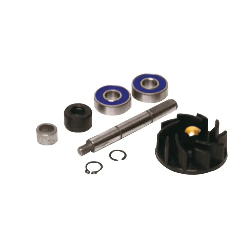 Kit Revisione Pompa Acqua Gilera RUNNER/Piaggio HEXAGON 125/150/180 cc Acquista Ora