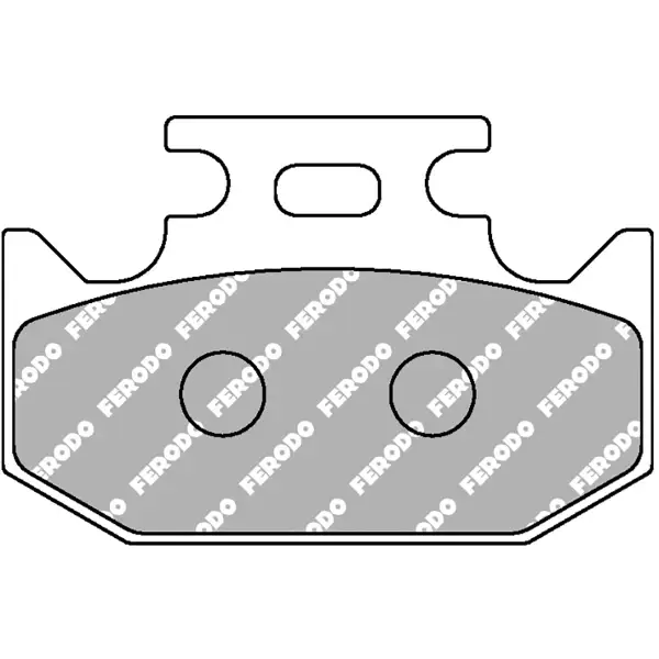 Reso Gratuito Pastiglie Freno Ferodo Platinum Road FDB2270P