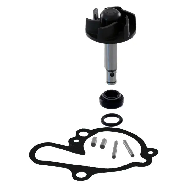 Super Prezzo Kit revisione pompa acqua RMS Minarelli AM6 per RIEJU MRT 50 50 2018 - 2018