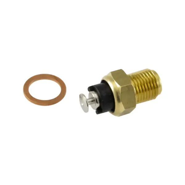 Termistore RMS Ducati 888/748 per DUCATI SUPERSPORT 900 SS FINAL ED. 900 1998 - 1998 Occasione