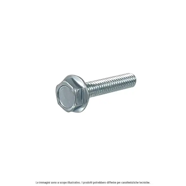 Vite zincata testa esagonale RMS con flangia M5X20 Professionale
