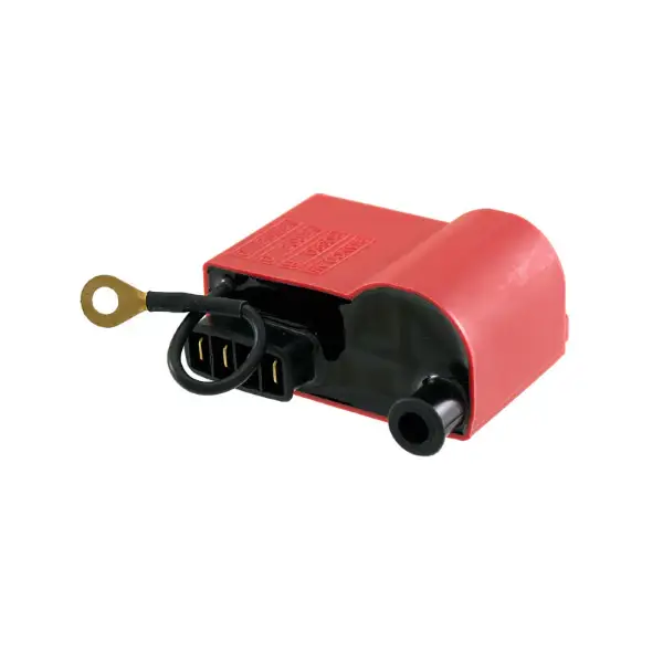 Centralina RMS Classic Piaggio Ape Tm P703 Fl2 220cc 1984/2005 2441295 Spedizione Espresso