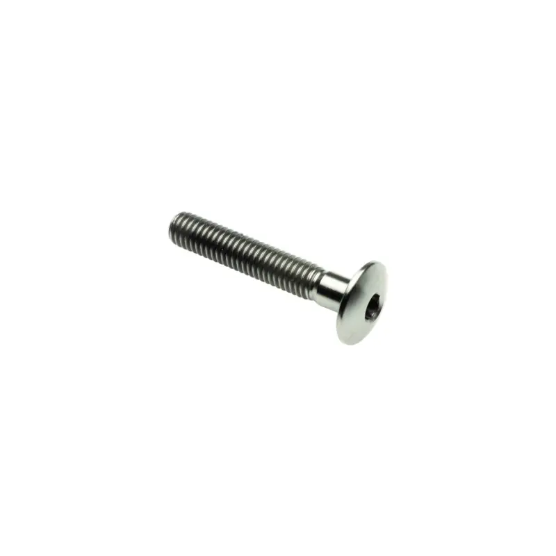 Vite Bombata Tit. G.5 Cl 002 M6 L. 50 Testa Ø14 Titanio 6al4v Gr.5 Compra Adesso