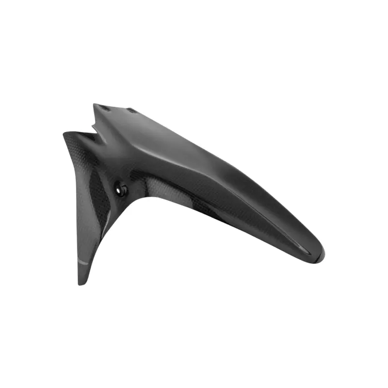 Compra Online LIGHTECH Parafango Post. In Carbonio per Ducati Panigale 1199 2012