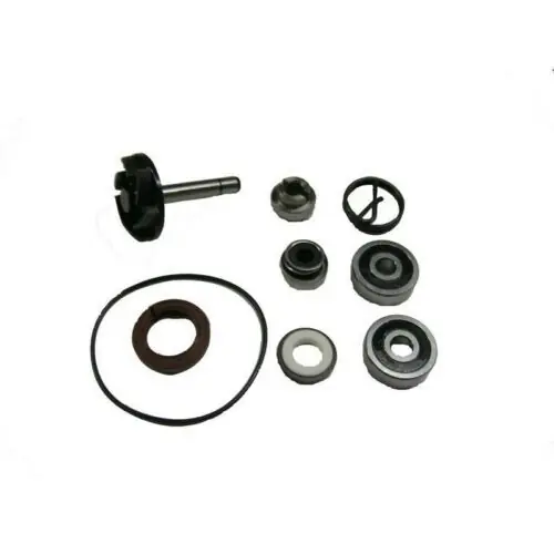 Ordina Subito 58529 KIT REVISIONE POMPA ACQUA PIAGGIO BEVERLY 250 2004-05