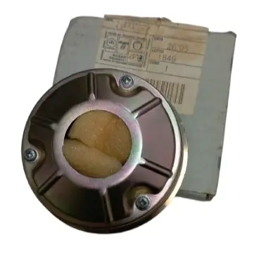 Offerta Del Giorno VARIATORE PIAGGIO SCATTO ORIGINALE