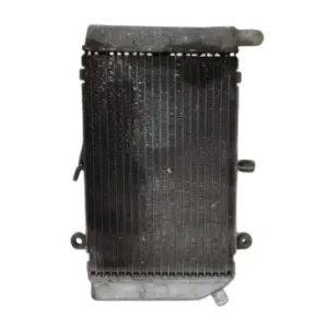 RADIATORE HONDA SILVER WING 600 Prezzo Ridotto
