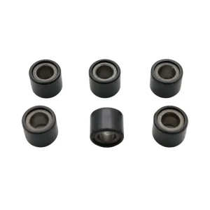 KIT 6 RULLI ROLLER MASSETTE VARIATORE PIAGGIO ZIP SP 96 / 2000 NRG RST MC2 Ordina Subito