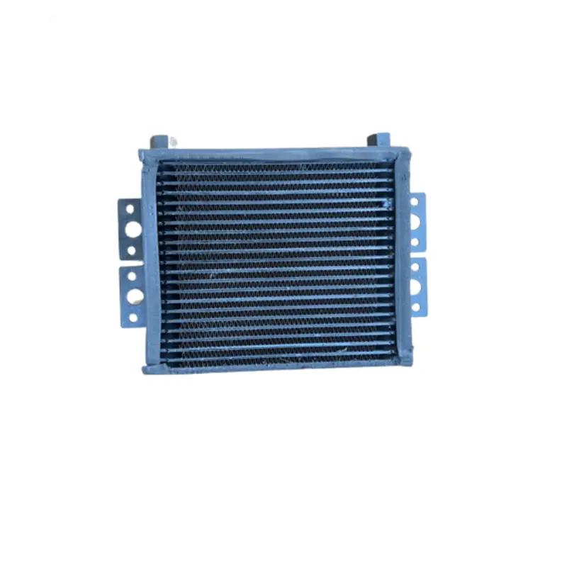 Prezzo Basso 91000315 RADIATORE OLIO PIAGGIO APE REVISIONATO