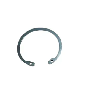 Promozione 561919 ANELLO FORCELLA PIAGGIO SKIPPER 125 150 NRG GILERA RUNNER 125 180 FXR 2T